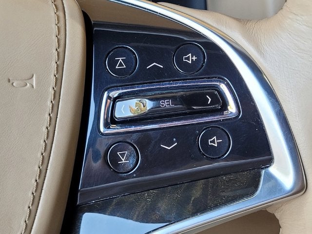 2019 Cadillac Escalade Platinum Edition