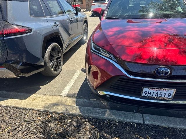 2024 Toyota Venza XLE