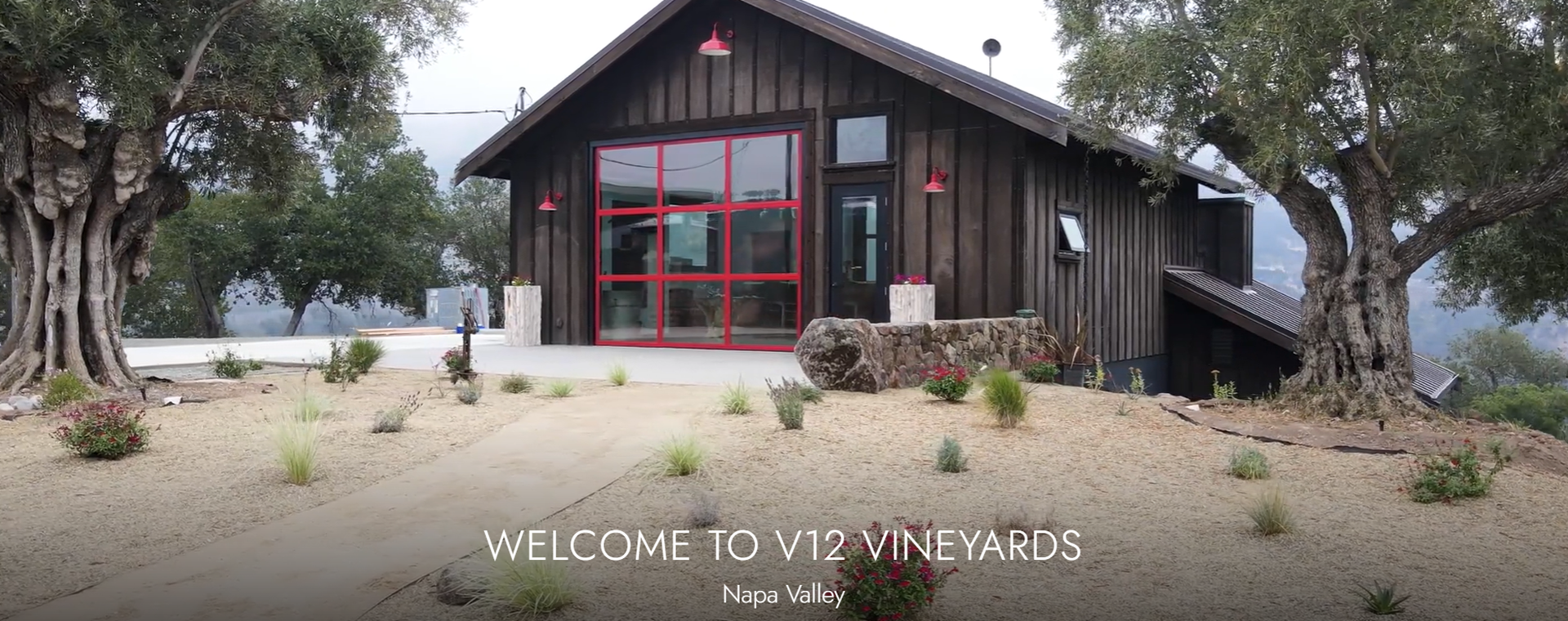 V12 Vineyards in Napa, CA